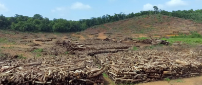 My Mollem – ‘Goa’s Green Heart’