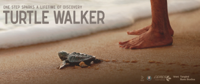 Turtle Walker