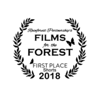 Filmfortheforest400