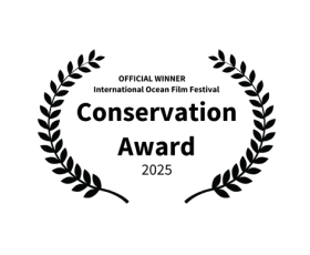 International-Ocean-Film-Festival